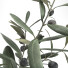 Jarrones y ramas Jysk Conjunto de olivos 3 - Rakochi Design