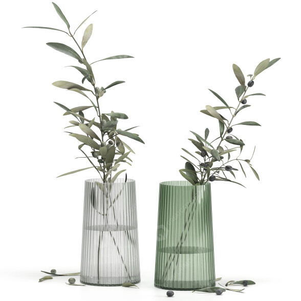 Jarrones y ramas Jysk Conjunto de olivos 3 Modelo 3D