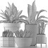 Plantes en pot Collection 15 - rodolfoboscan911