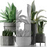 Plantes en pot Collection 15 - rodolfoboscan911