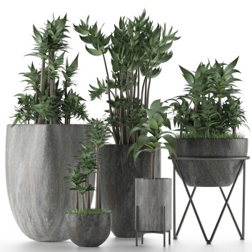 Topfpflanzen  Kollektion 14 3D-Modell