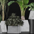 Plantes en pot Ensemble 42 - rodolfoboscan911