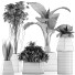 Plantes en pot Ensemble 42 - rodolfoboscan911