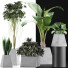 Plantes en pot Ensemble 42 - rodolfoboscan911