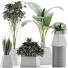 Plantes en pot Ensemble 42 - rodolfoboscan911