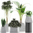 Plantes en pot Ensemble 42 - rodolfoboscan911