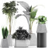 Plantes en pot Ensemble 42 - rodolfoboscan911