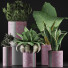 Plantes en pot Ensemble 41 - rodolfoboscan911