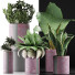 Plantes en pot Ensemble 41 - rodolfoboscan911