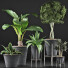 Plantes en pot Ensemble 40 - rodolfoboscan911