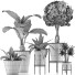 Plantes en pot Ensemble 40 - rodolfoboscan911