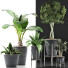 Plantes en pot Ensemble 40 - rodolfoboscan911