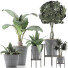 Plantes en pot Ensemble 40 - rodolfoboscan911
