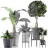 Plantes en pot Ensemble 40 - rodolfoboscan911