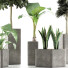 Plantes en pot Ensemble 39 - rodolfoboscan911