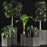 Plantes en pot Ensemble 39 - rodolfoboscan911