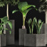 Plantes en pot Ensemble 39 - rodolfoboscan911