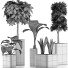 Plantes en pot Ensemble 39 - rodolfoboscan911