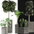 Plantes en pot Ensemble 39 - rodolfoboscan911