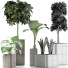 Plantes en pot Ensemble 39 - rodolfoboscan911