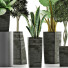 Plantes en pot Ensemble 38 - rodolfoboscan911