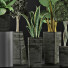 Plantes en pot Ensemble 38 - rodolfoboscan911