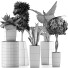 Plantes en pot Ensemble 38 - rodolfoboscan911