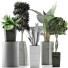 Plantes en pot Ensemble 38 - rodolfoboscan911