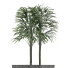 Plante en pot Simple 08 - rodolfoboscan911
