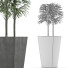 Plante en pot Simple 08 - rodolfoboscan911