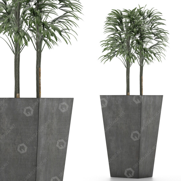 Plante en pot Simple 08 modèle 3D