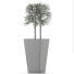 Plante en pot Simple 08 - rodolfoboscan911