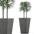 Plante en pot Simple 08 - rodolfoboscan911