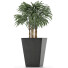 Plante en pot Simple 07 - rodolfoboscan911