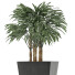 Plante en pot Simple 07 - rodolfoboscan911
