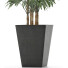 Plante en pot Simple 07 - rodolfoboscan911
