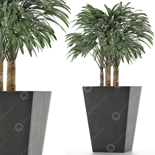 Plante en pot Simple 07 modèle 3D