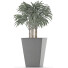 Plante en pot Simple 07 - rodolfoboscan911