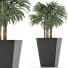 Plante en pot Simple 07 - rodolfoboscan911