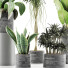 Potted Plants Collection 36 - rodolfoboscan911