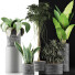 Potted Plants Collection 36 - rodolfoboscan911