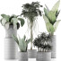 Potted Plants Collection 36 - rodolfoboscan911