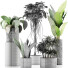 Potted Plants Collection 36 - rodolfoboscan911
