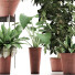 Plantes en pot Ensemble 35 - rodolfoboscan911