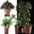 Plantes en pot Ensemble 35 - rodolfoboscan911