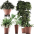 Plantes en pot Ensemble 35 - rodolfoboscan911