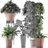 Plantes en pot Ensemble 35 - rodolfoboscan911