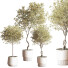 Plantes en pot Ensemble intérieur 054 - nasrinrad