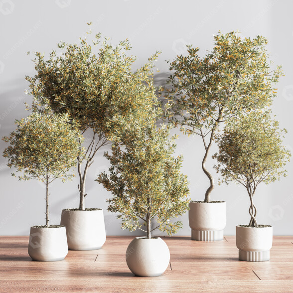 Plantes en pot Ensemble intérieur 054 modèle 3D