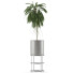 Plante en pot Simple 18 - rodolfoboscan911